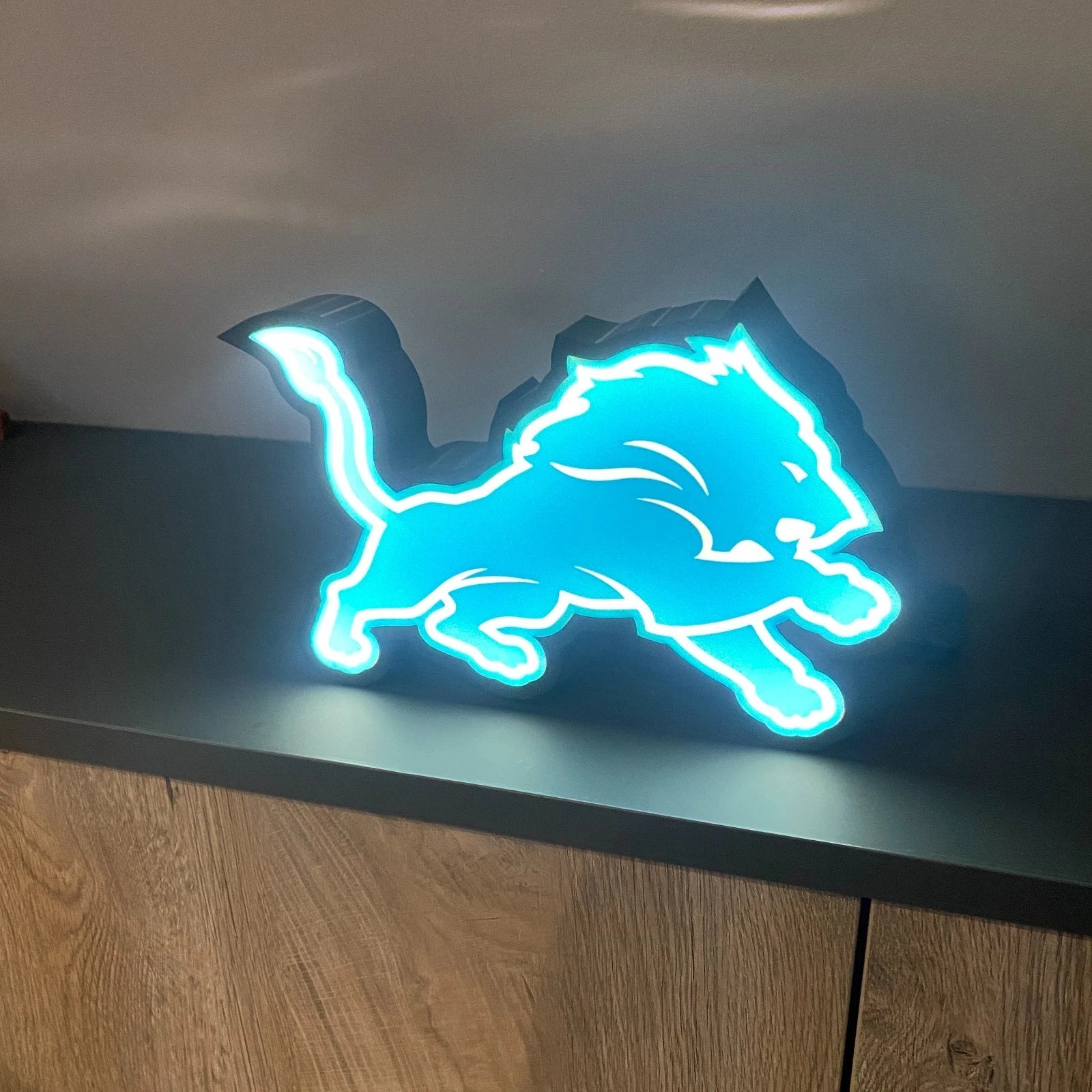 Detroit Lions NFL LED Light Box Sign Lamp USB Powered
