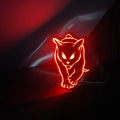 Sunderland Black Cat LED Lightbox Nightlight USB Powered LED Lamp ,Man Cave, Bar